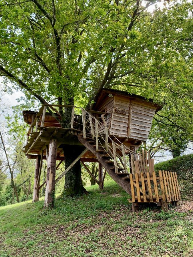 Domaine Des Laminak Séjour chez l'habitant